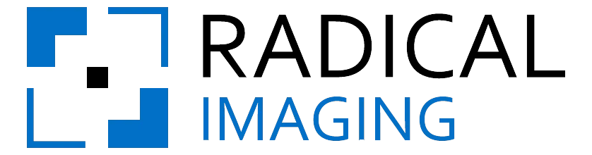 Software Services Firm with First Product